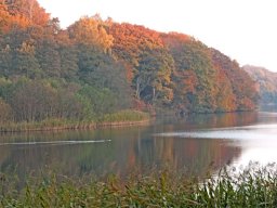 IMGP9043-Efteraarsmorgen-ved-Hald-Soe